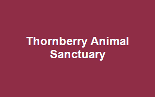Thornberry Animal Sanctuary